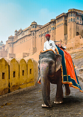 Maaruti Tour & Travels - Experience Royal Tradition